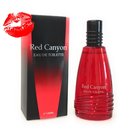 Red Canyon Real Time Parfume Eau de Toilette 100 ml...